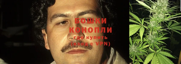 шишки Гусь-Хрустальный