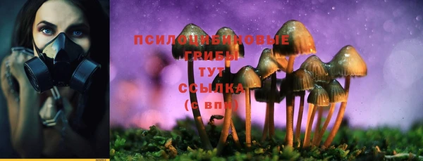 мескалин Гусиноозёрск