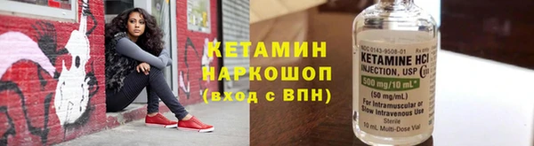 шишки Гусь-Хрустальный