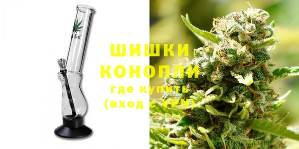 шишки Гусь-Хрустальный