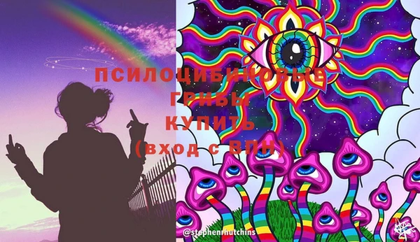шишки Гусь-Хрустальный