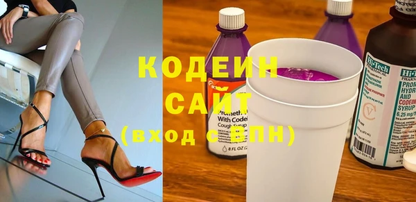 шишки Гусь-Хрустальный