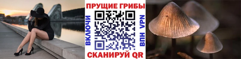 Псилоцибиновые грибы ЛСД  Назрань 