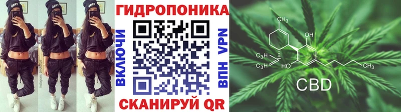 где можно купить   Назрань  Канабис White Widow 